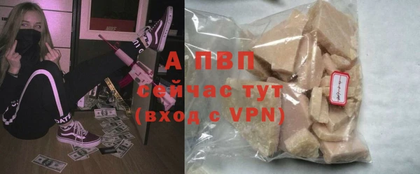гидра Зеленокумск