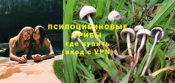трава Зерноград
