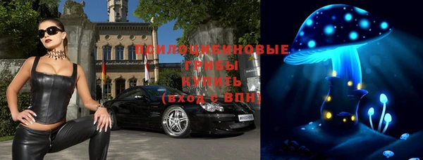 гидра Зеленокумск
